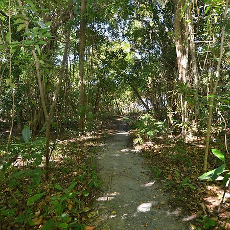 Villa Frangipani Port Douglas Dış mekan fotoğraf