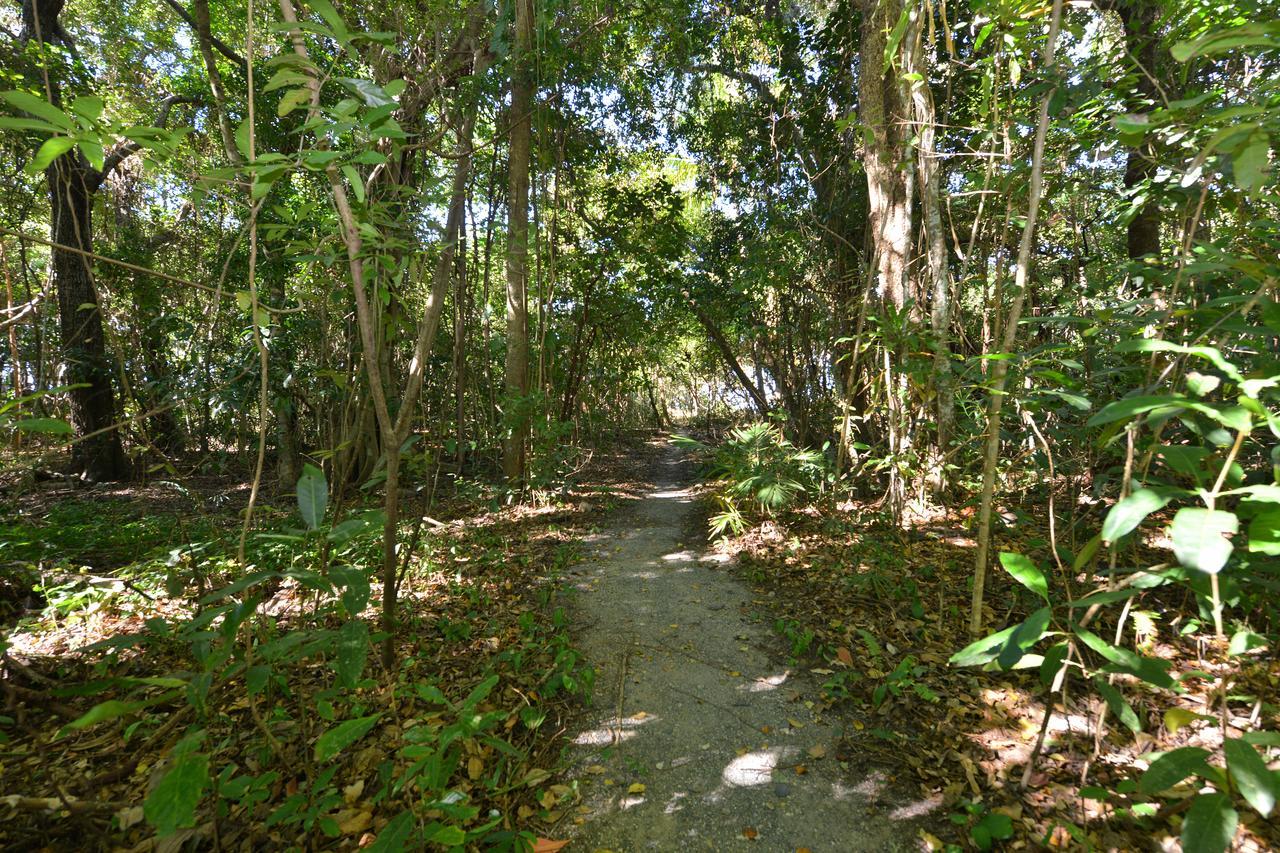 Villa Frangipani Port Douglas Dış mekan fotoğraf